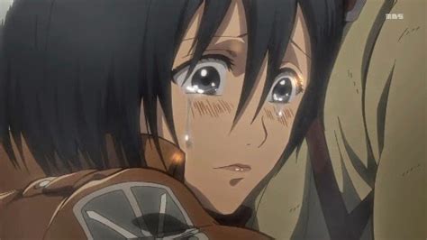 mikasa ackerman x male reader